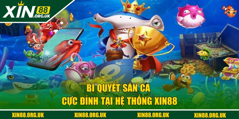 Bí quyết săn cá cực đỉnh tại hệ thống XIN88
